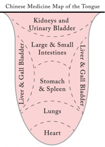 Tongue diagram