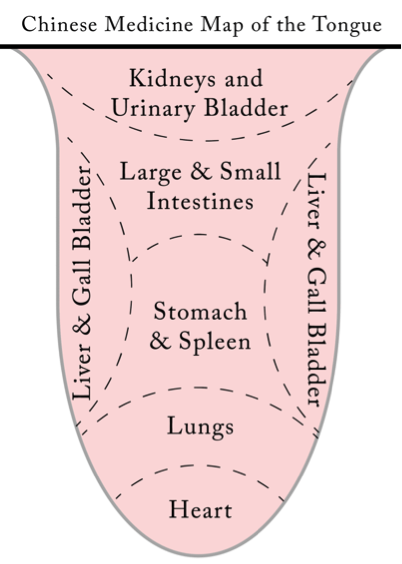 Tcm Tongue Diagnosis Chart