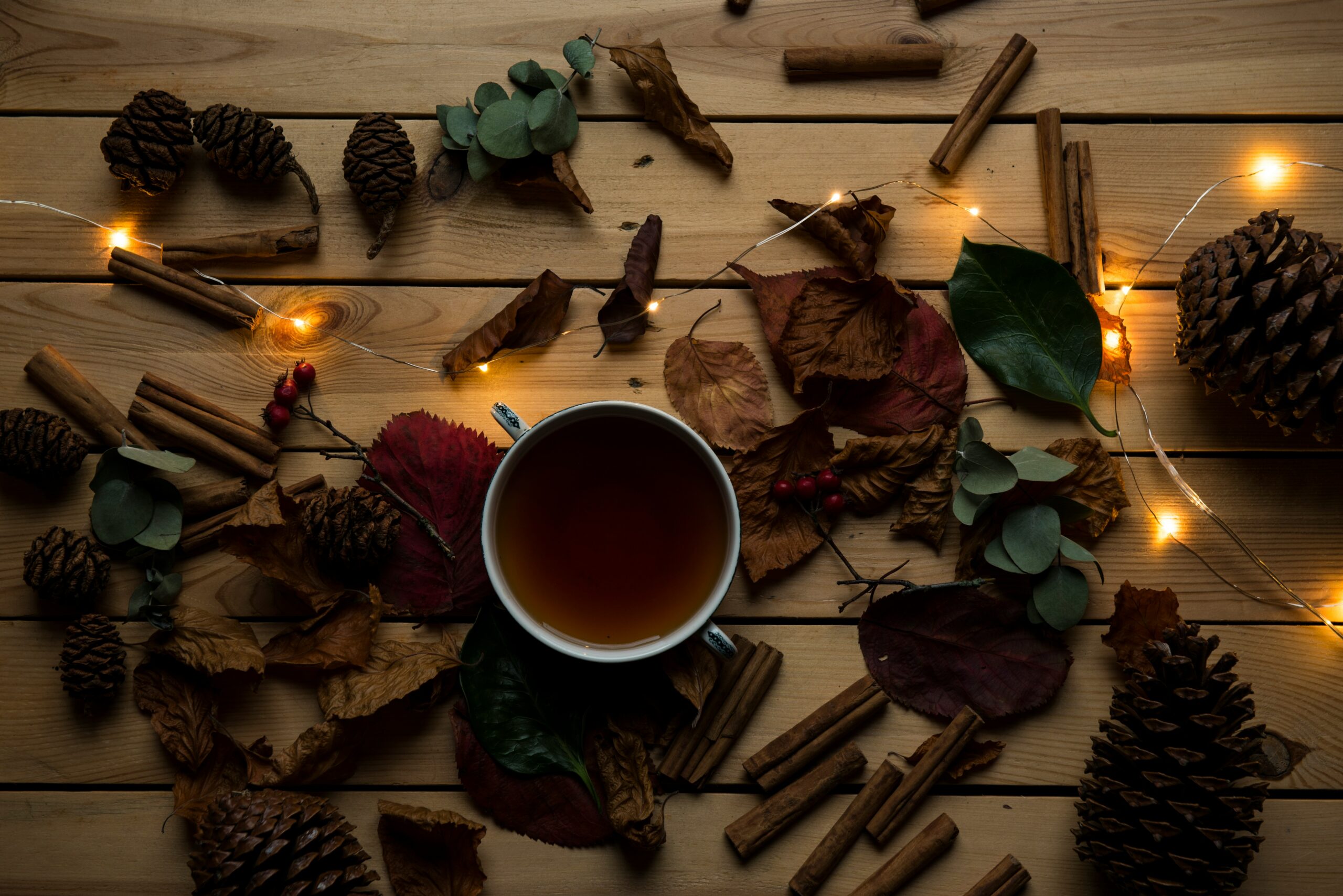 Warming Cinnamon Drink: A Simple Recipe to Boost Your Qi This Winter - Selby Acupuncture